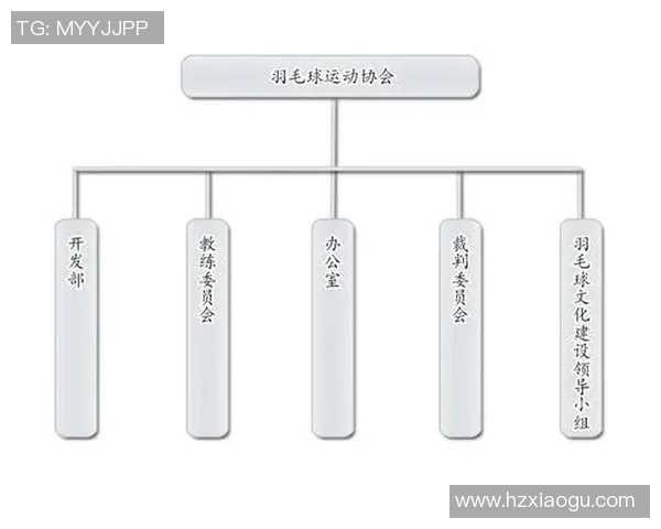 成都羽毛球队实力对比深度解析与发展潜力探讨