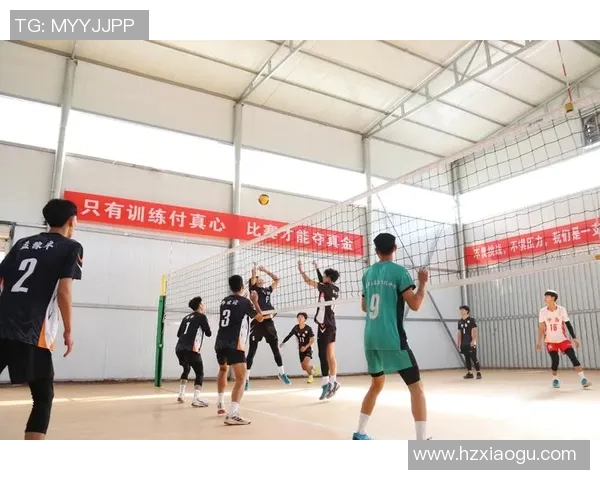 排球比赛经验排行榜揭晓北京排球队荣获第九名成就引关注